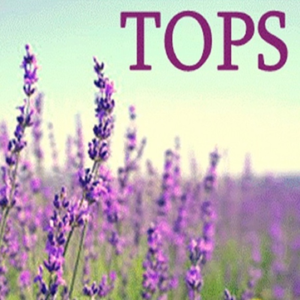 Tops - Picture 3 of 4
